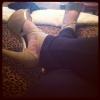User submitted photo