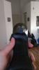 User submitted photo