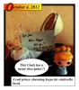User submitted photo