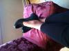 User submitted photo