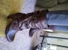 User submitted photo