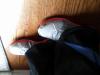User submitted photo