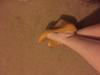 User submitted photo