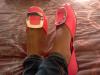 User submitted photo