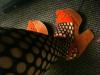 User submitted photo
