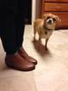 User submitted photo