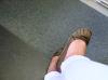 User submitted photo