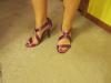 User submitted photo