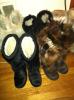 User submitted photo