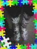 User submitted photo