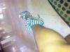 User submitted photo