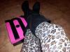 User submitted photo