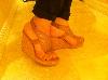 User submitted photo