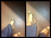 User submitted photo