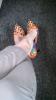 User submitted photo