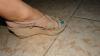 User submitted photo