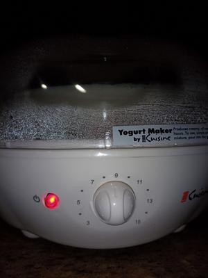 Euro Cuisine YM100 Automatic Yogurt Maker With 7 Glass Jars Macy S