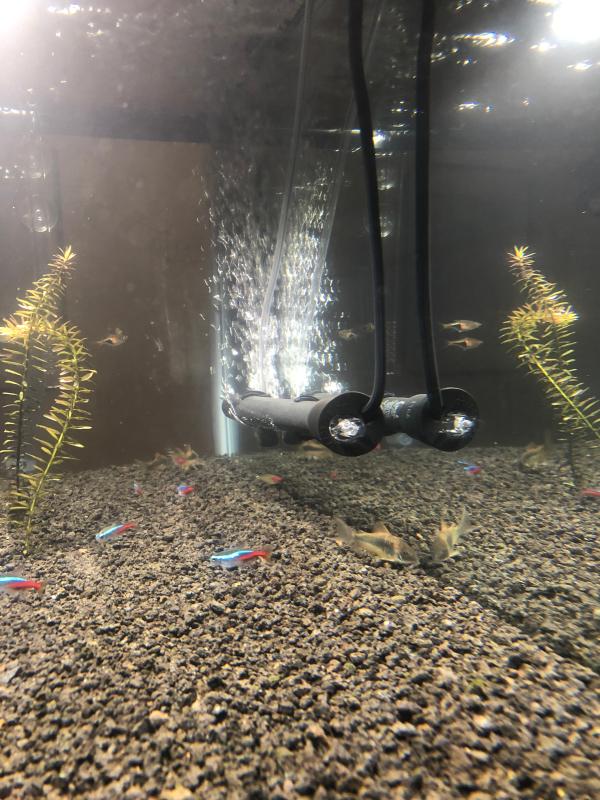 Aqueon Pro 200 Submersible Aquarium Heater Petco