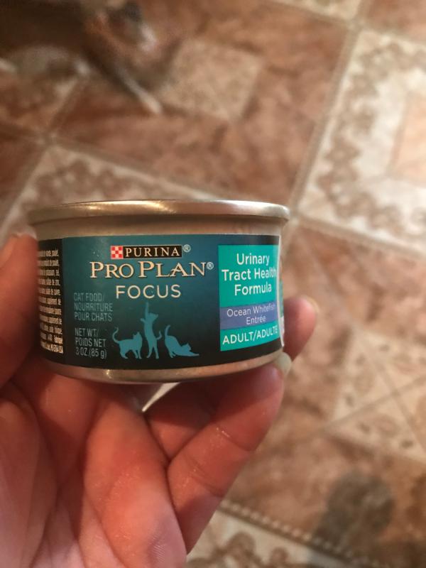 Purina Pro Plan Urinary Tract Ocean Whitefish With Salmon Entrees