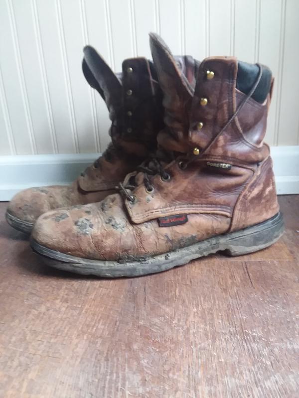 red wing boots 1412