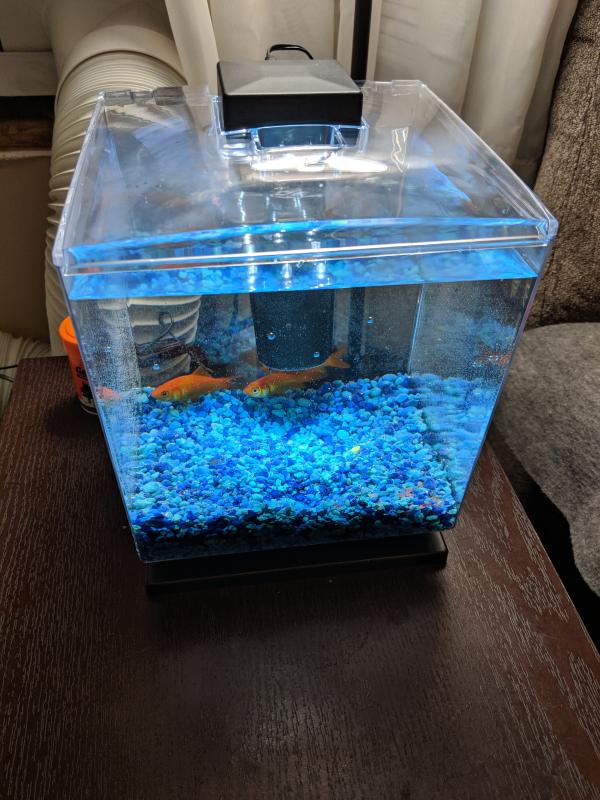 1.5 gallon fish tank