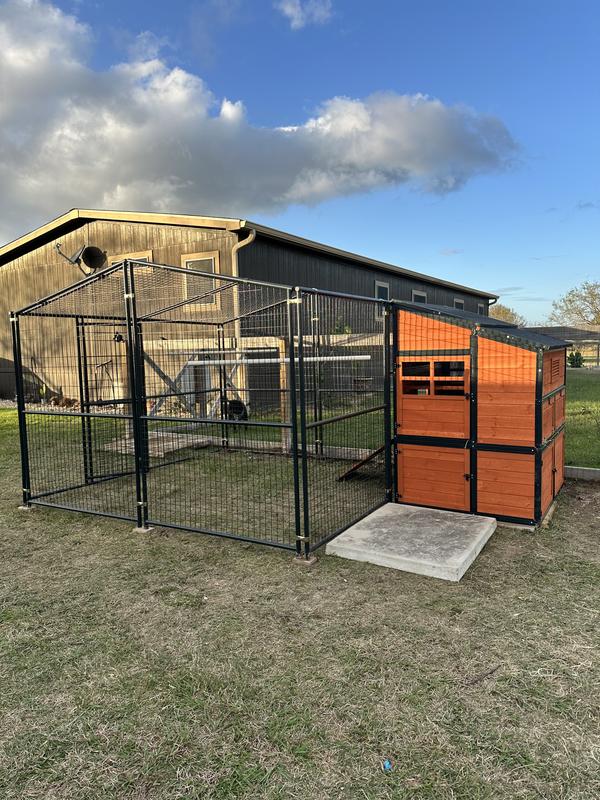 Producer S Pride Defender Extra Large Chicken Coop 18 Chicken Capacity