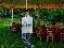 User submitted photo