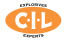 CIL/Orion Sales Director