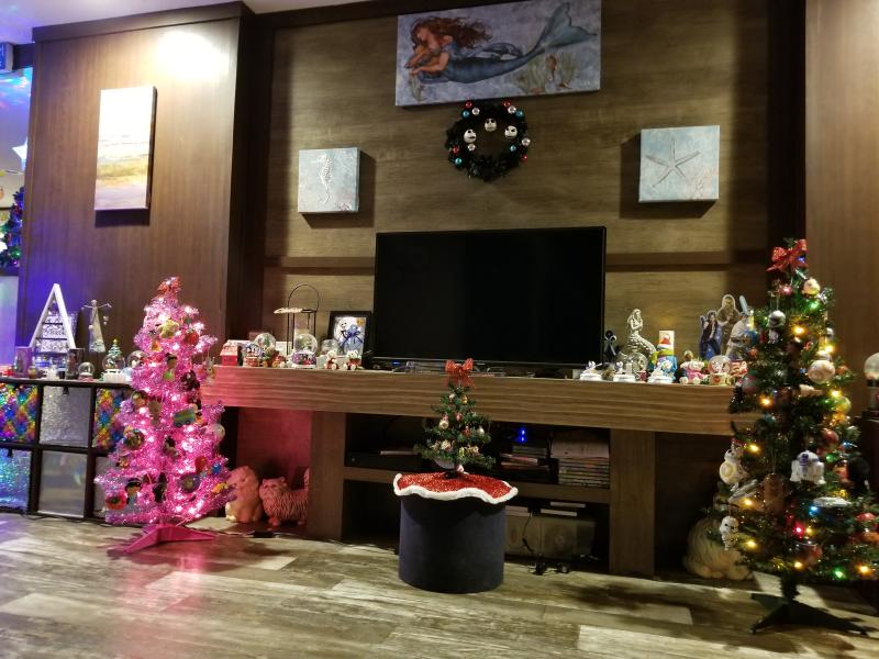 Everything command hook held