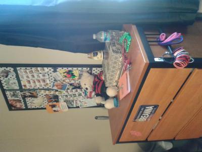 Poster boad and hair ties hung with Command Strips