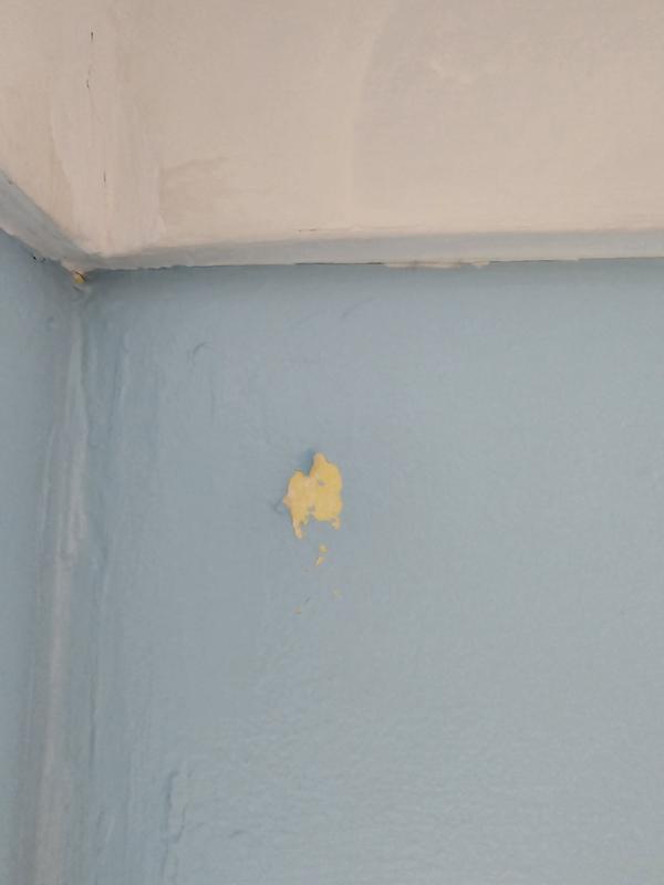 Damaged bedroom wall. Thanks command hooks.