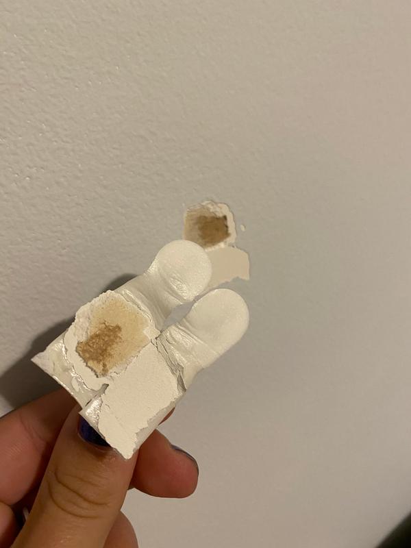 Photo - commentaire 8.