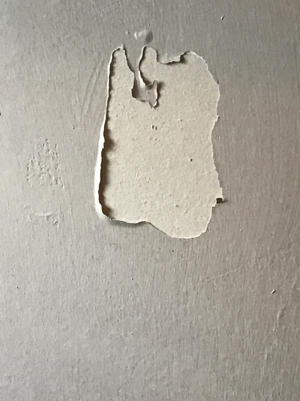 Wall where command gripper ripped paint off when pulled mop out
