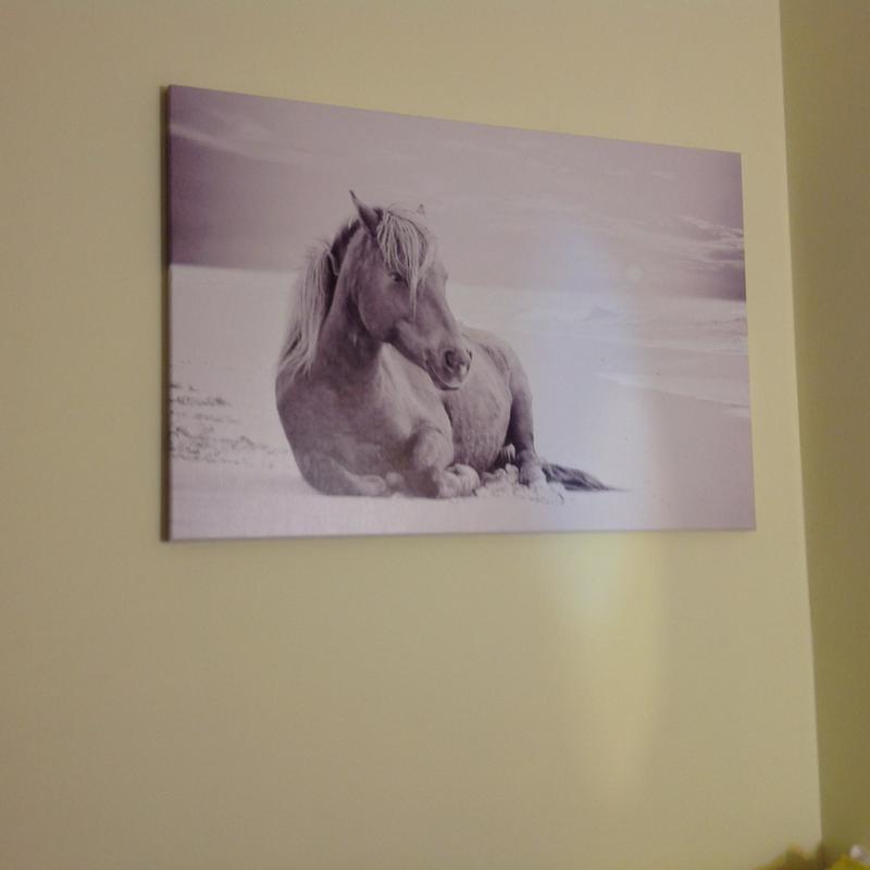 My favorite canvas on its new hanger!