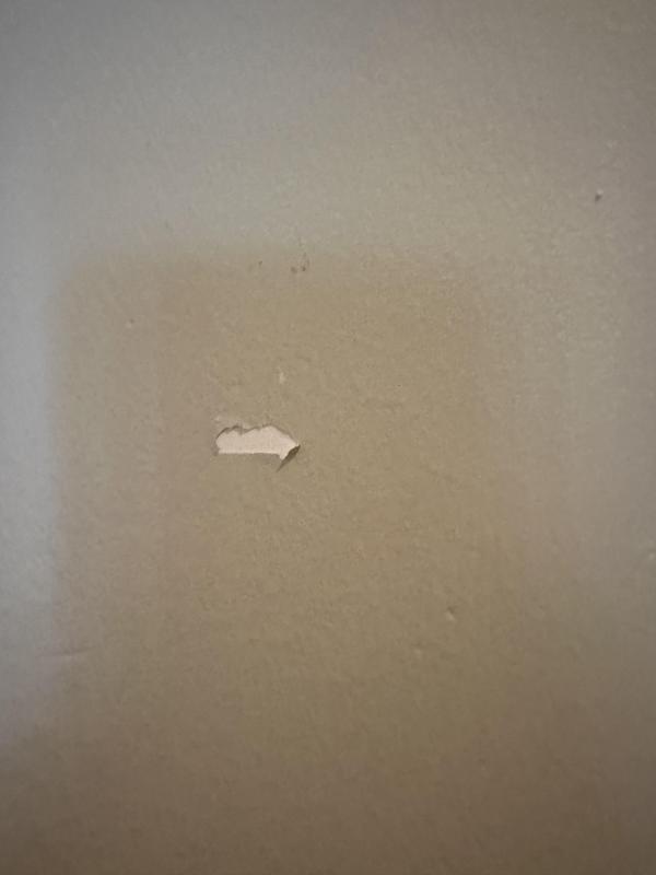 Review photo 5.