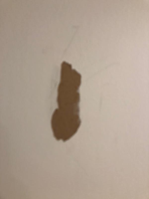 After removing command hook