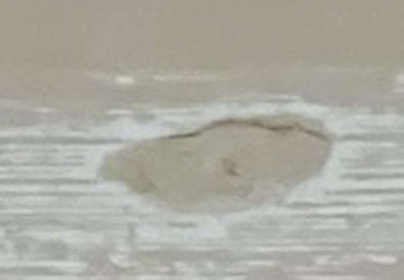 Photo - commentaire&nbsp;7.