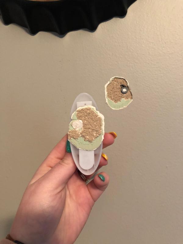 The command strip and wall