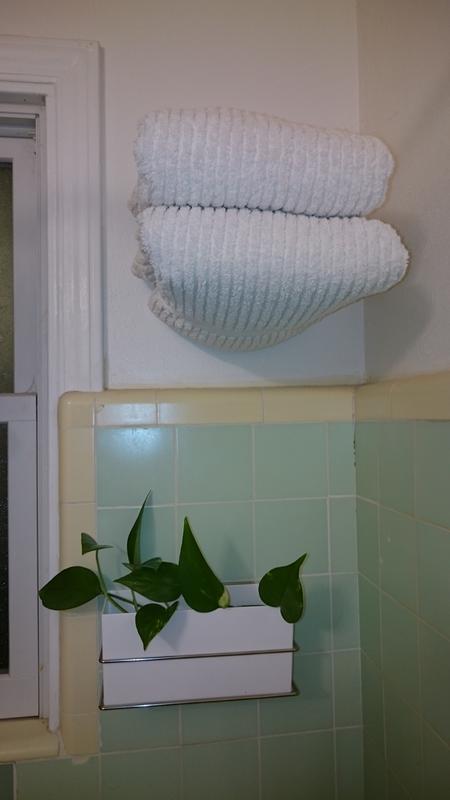 A little greenery in my shower