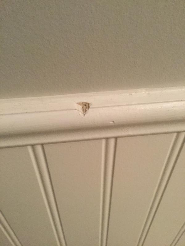 Damaged wainscoting