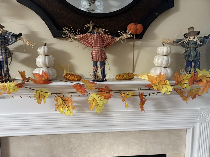 Photo - commentaire 2.