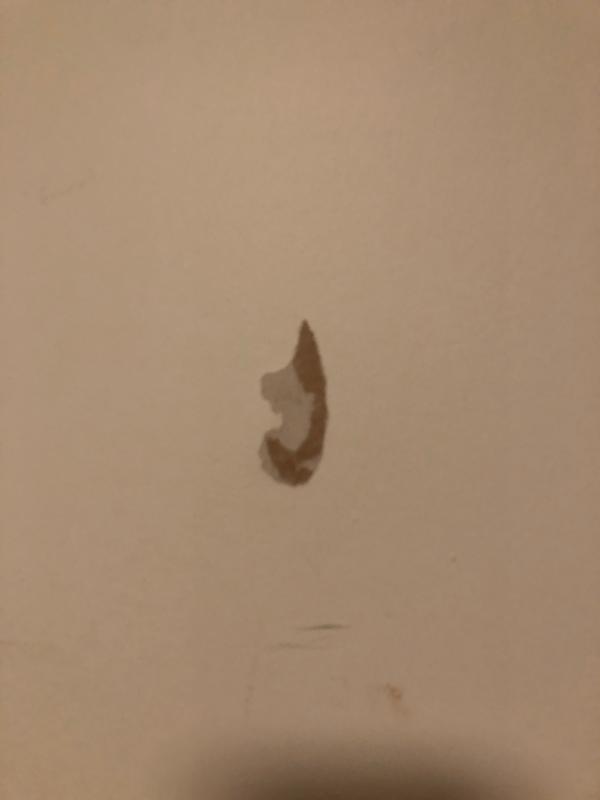 Another wall after removing command hooks and following their removal instructions