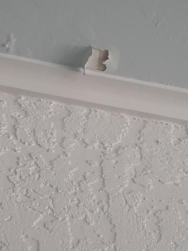 Damage to ceiling paint