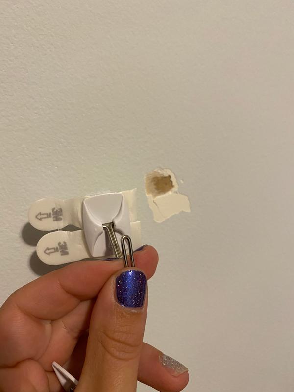 Photo - commentaire 7.