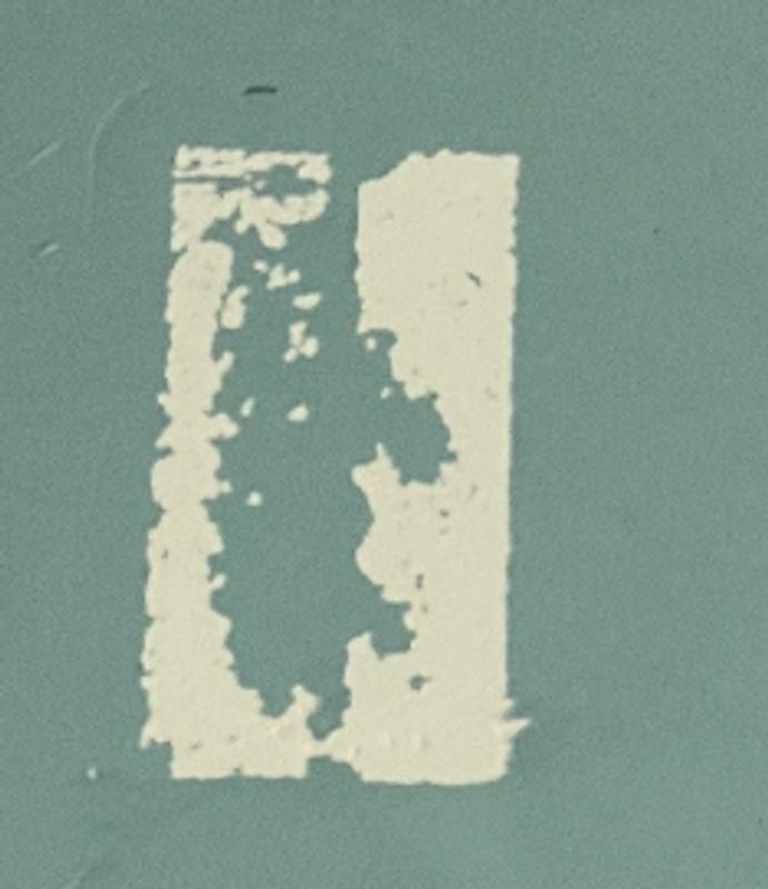 Photo - commentaire 6.