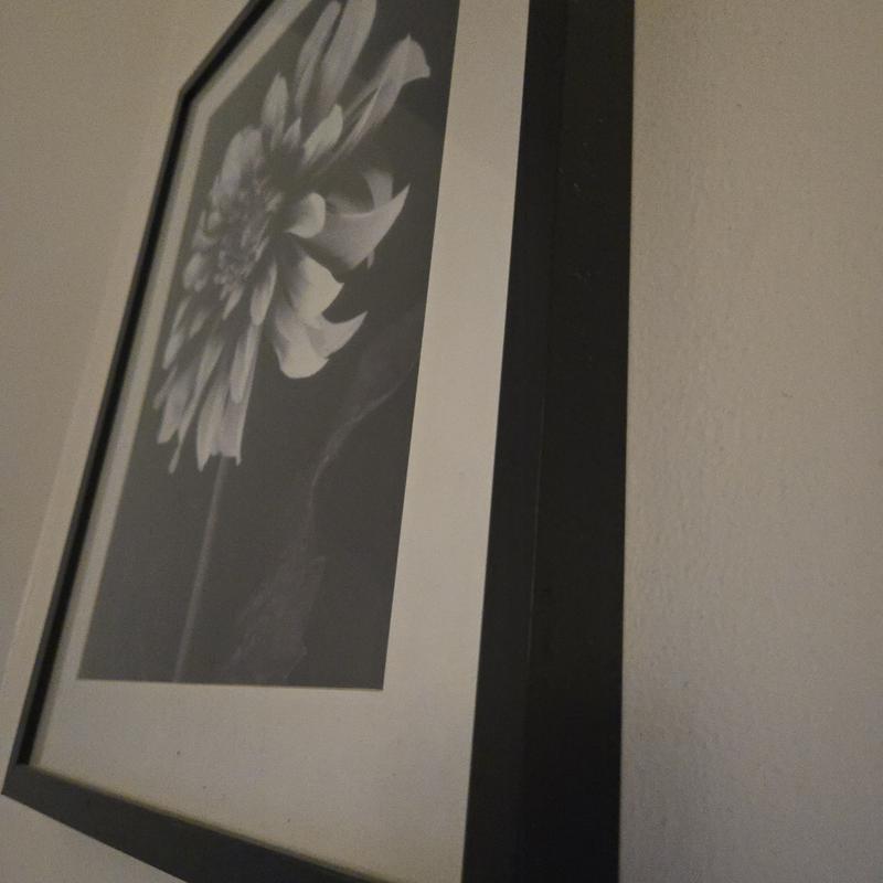 Photo - commentaire&nbsp;1.