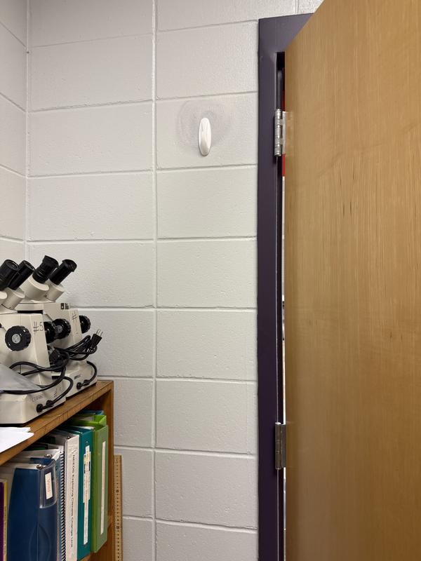 Apparently the paint on the cinder block wall wasn’t a fan of me cleaning a spot for my new Command hook