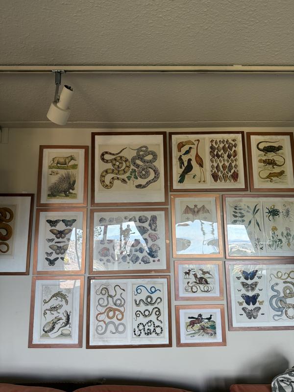 All of this uses command strips with no problem