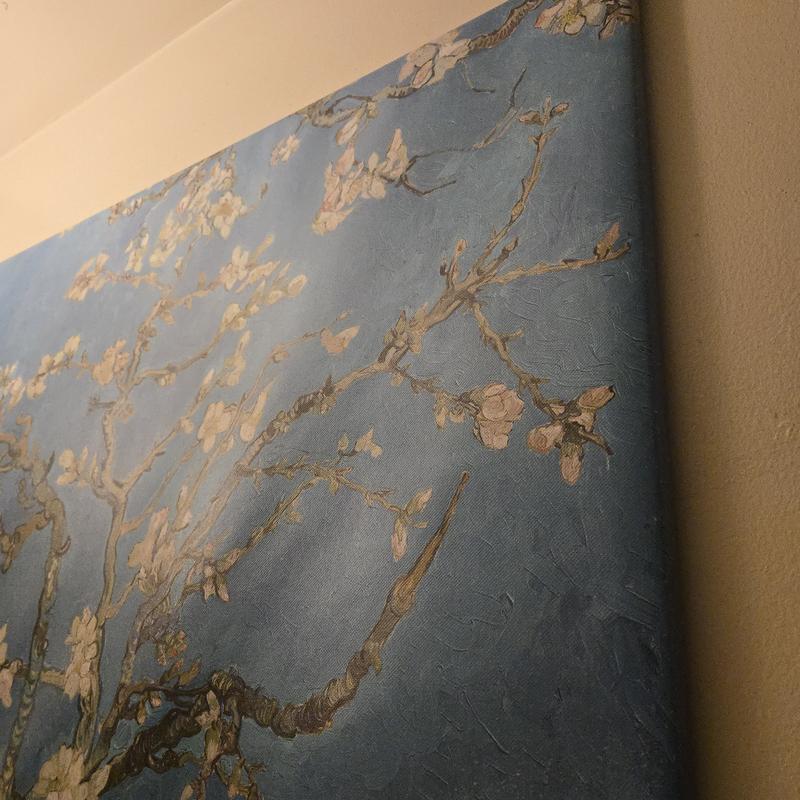 Photo - commentaire 1.