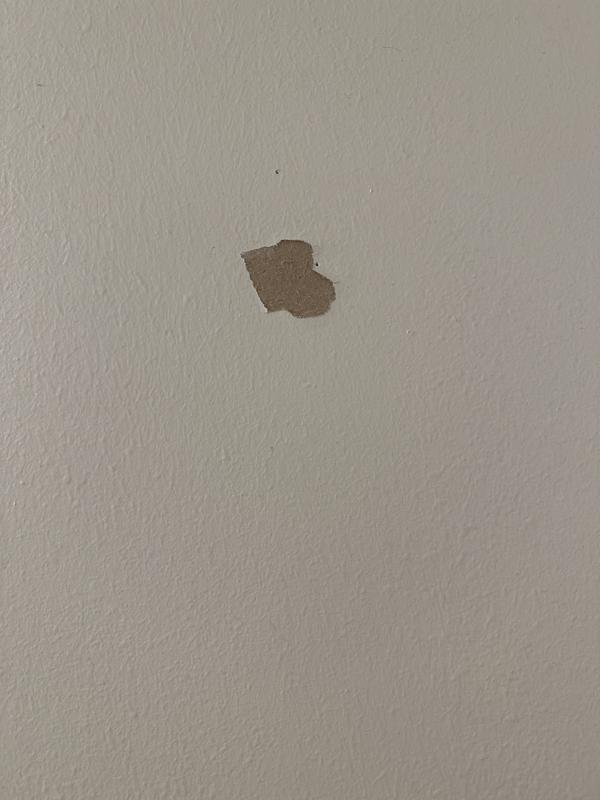 Peeled paint and drywall pallet
